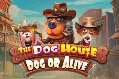Thedoghousedogoralive онлайн Бест Казино